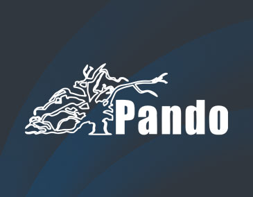 Pando